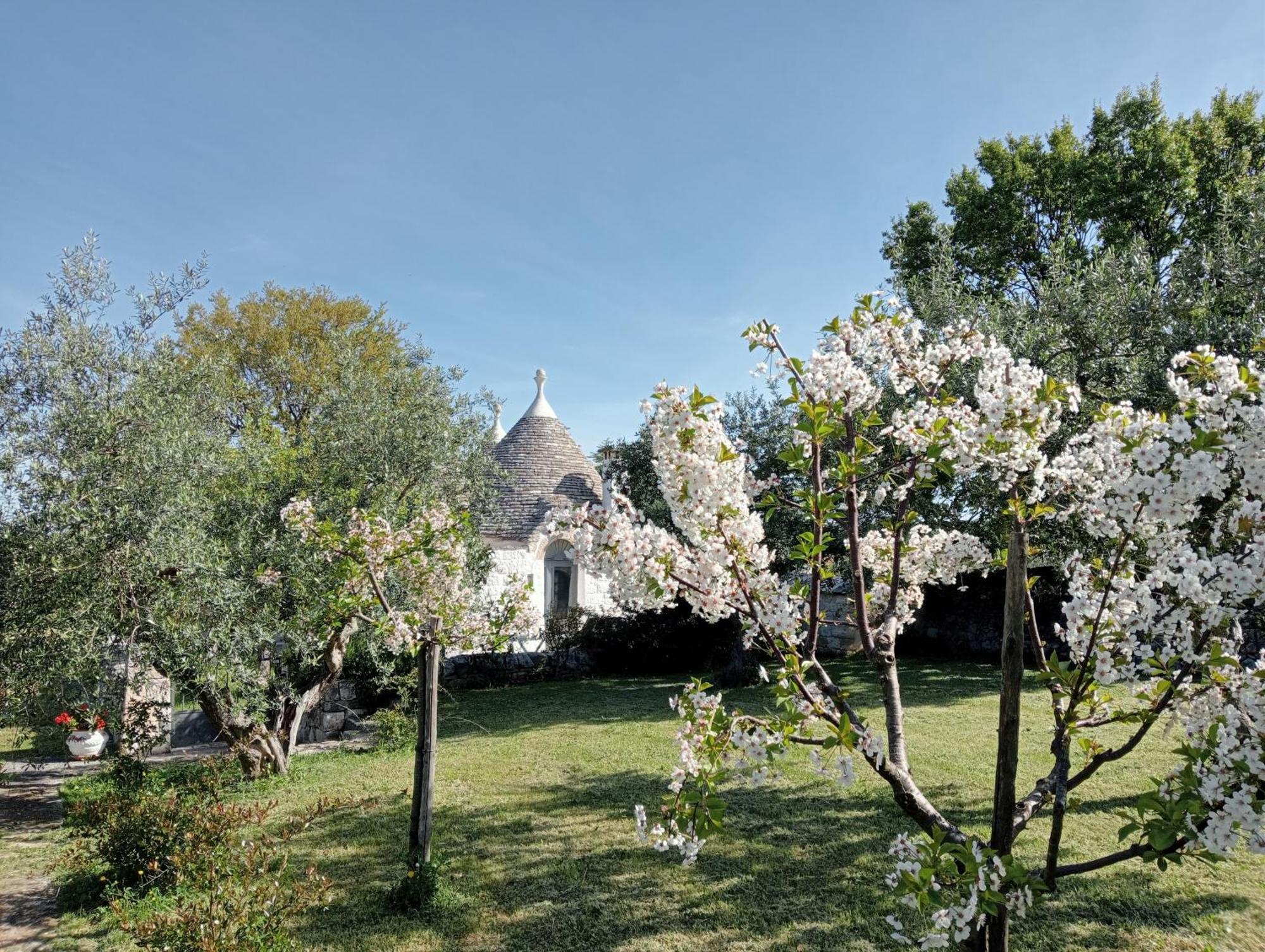 Vila Trulli Manuela Locorotondo Exteriér fotografie